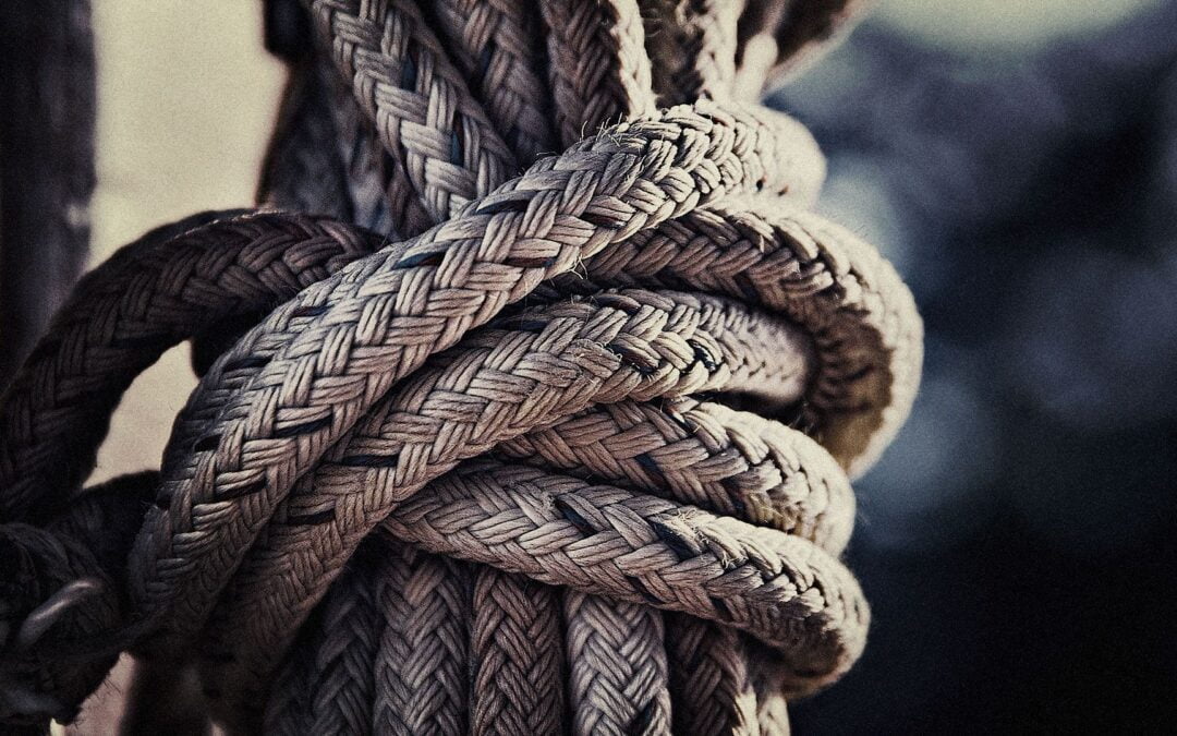 Varados – Capítulo II